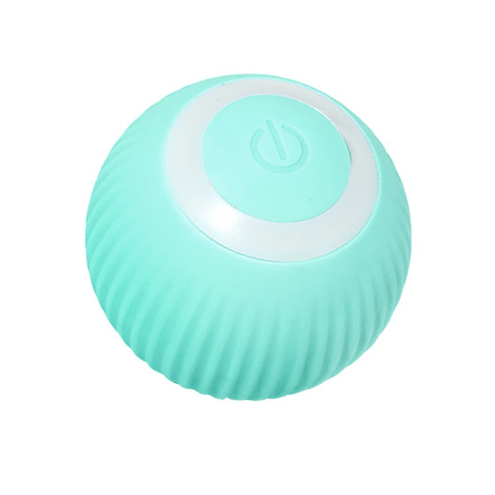 Cat Smart Ball