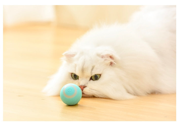 Cat Smart Ball