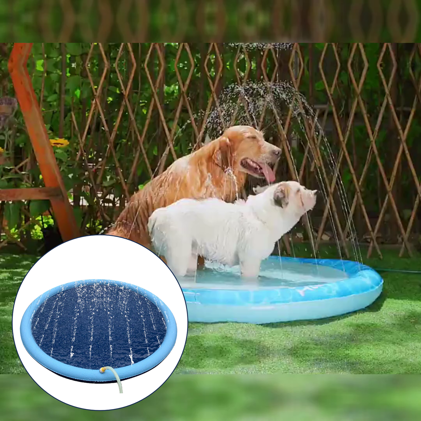 Doggiesplash| Verfrissend hondenspeelbad